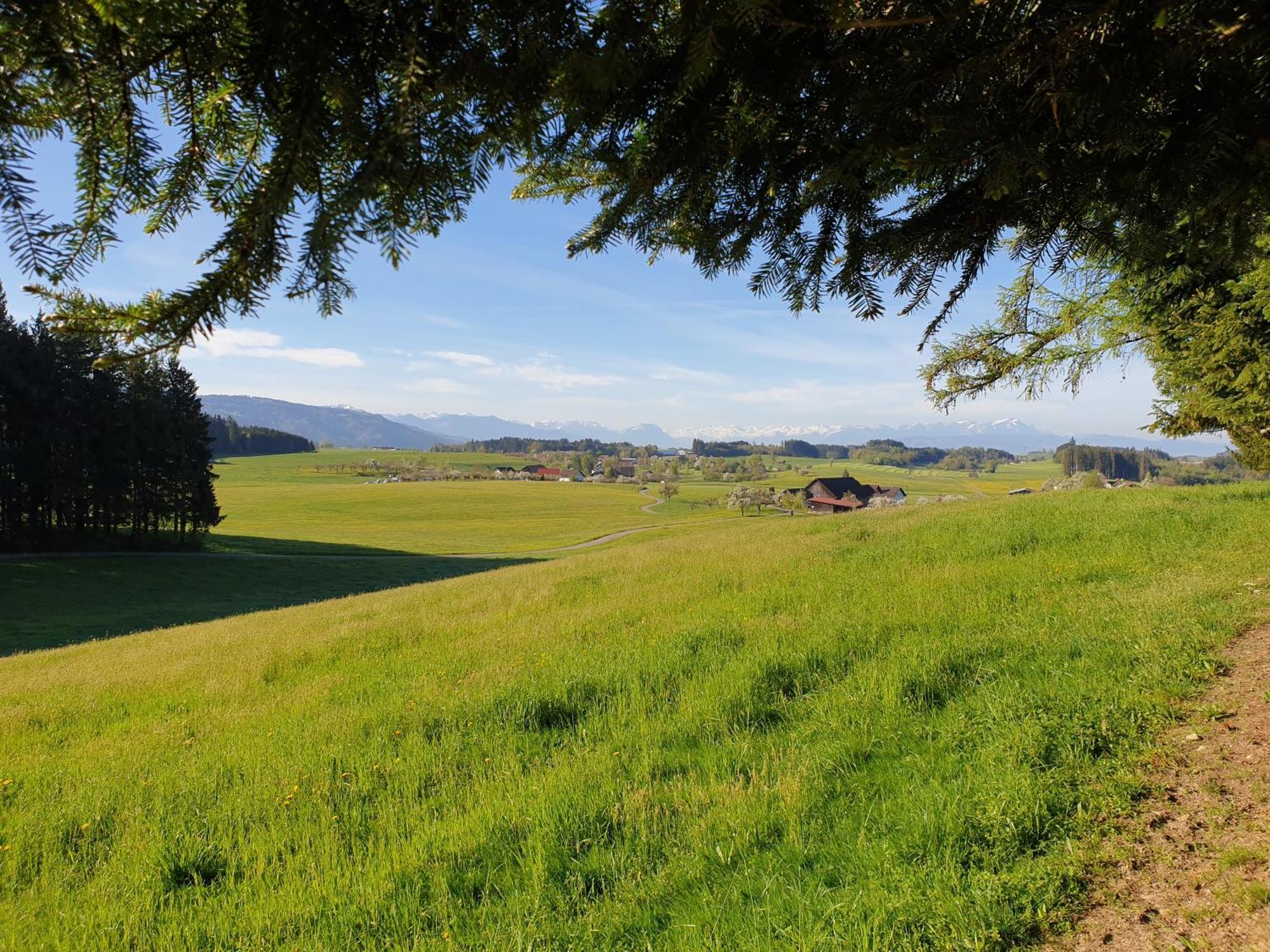 Ferienwohnung 'Get Moor' Wangen im Allgäu Exterior foto