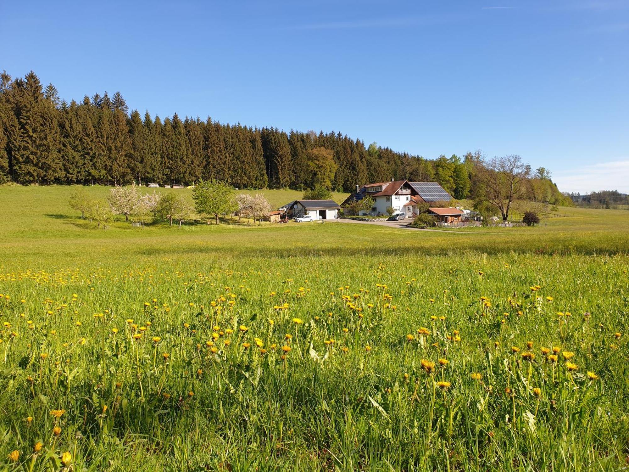 Ferienwohnung 'Get Moor' Wangen im Allgäu Exterior foto